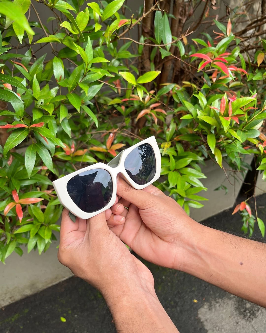 Ivory Oversized Cat Eye Sunglasses