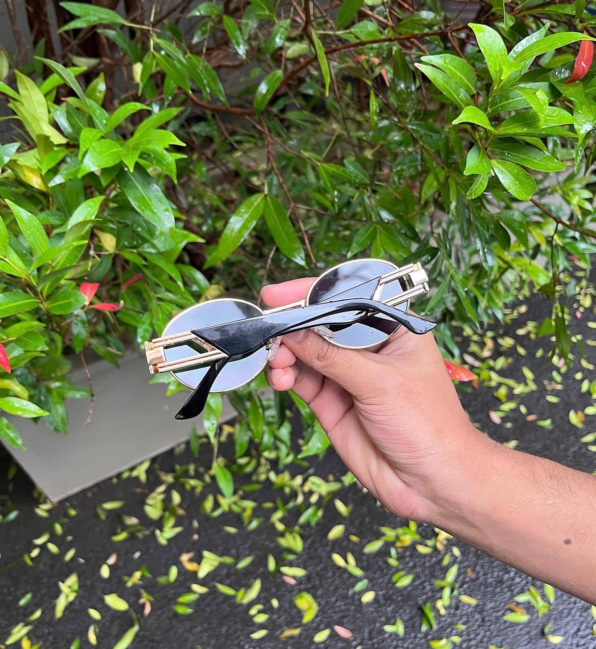 Round Ladder Bridge Sunglasses