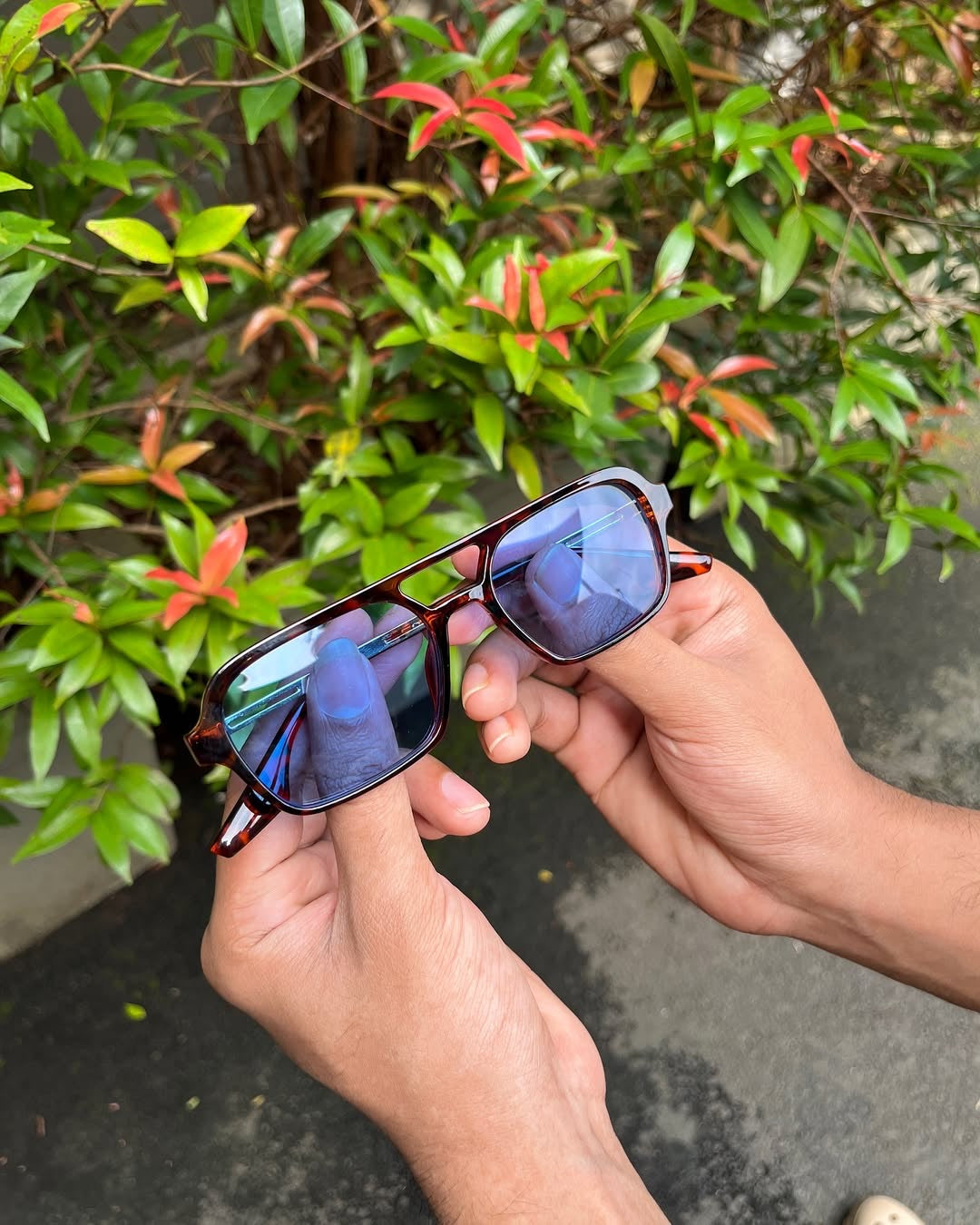 Tortoise Aviator Optical Frames