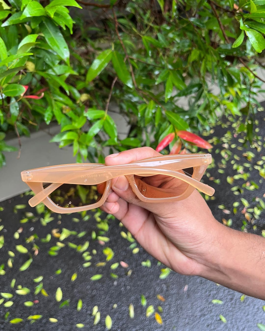 Peach Jelly Angular Sunglasses