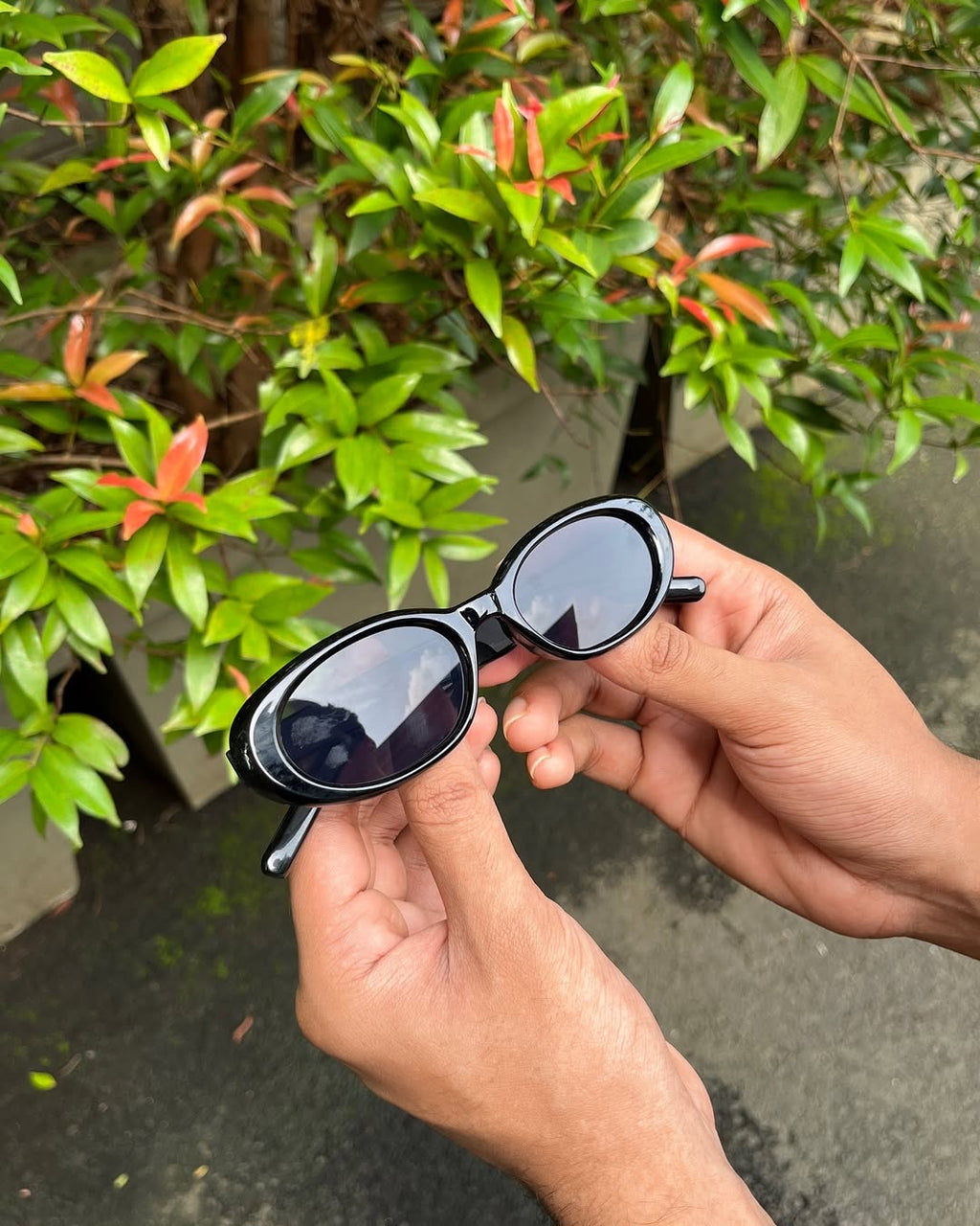 Star Accent Oval Sunglasses