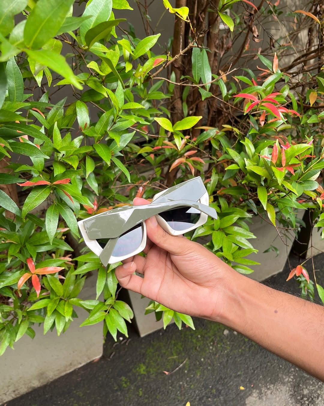 Ivory Oversized Cat Eye Sunglasses