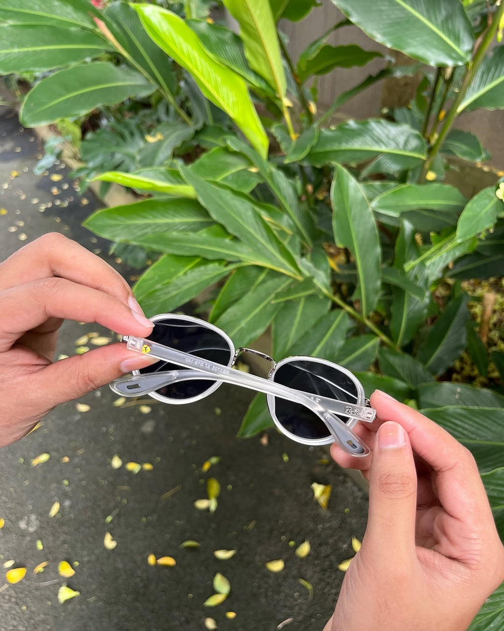 Clarity Round Sunglasses Clear & Gunmetal