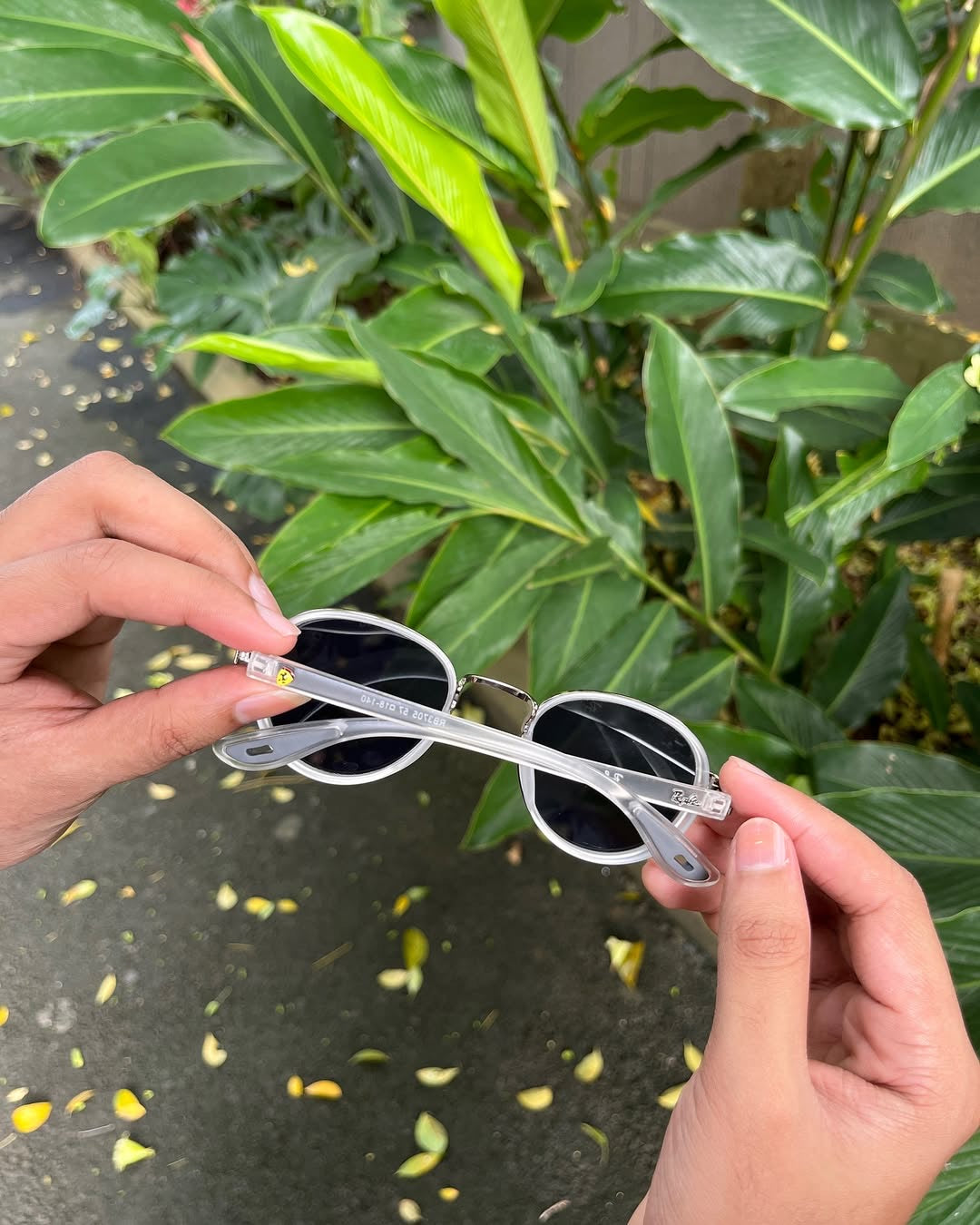 Clarity Round Sunglasses Clear & Gunmetal