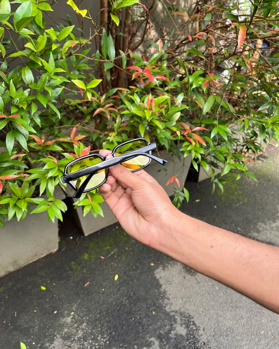 Amber Vision Blue-Light Frames