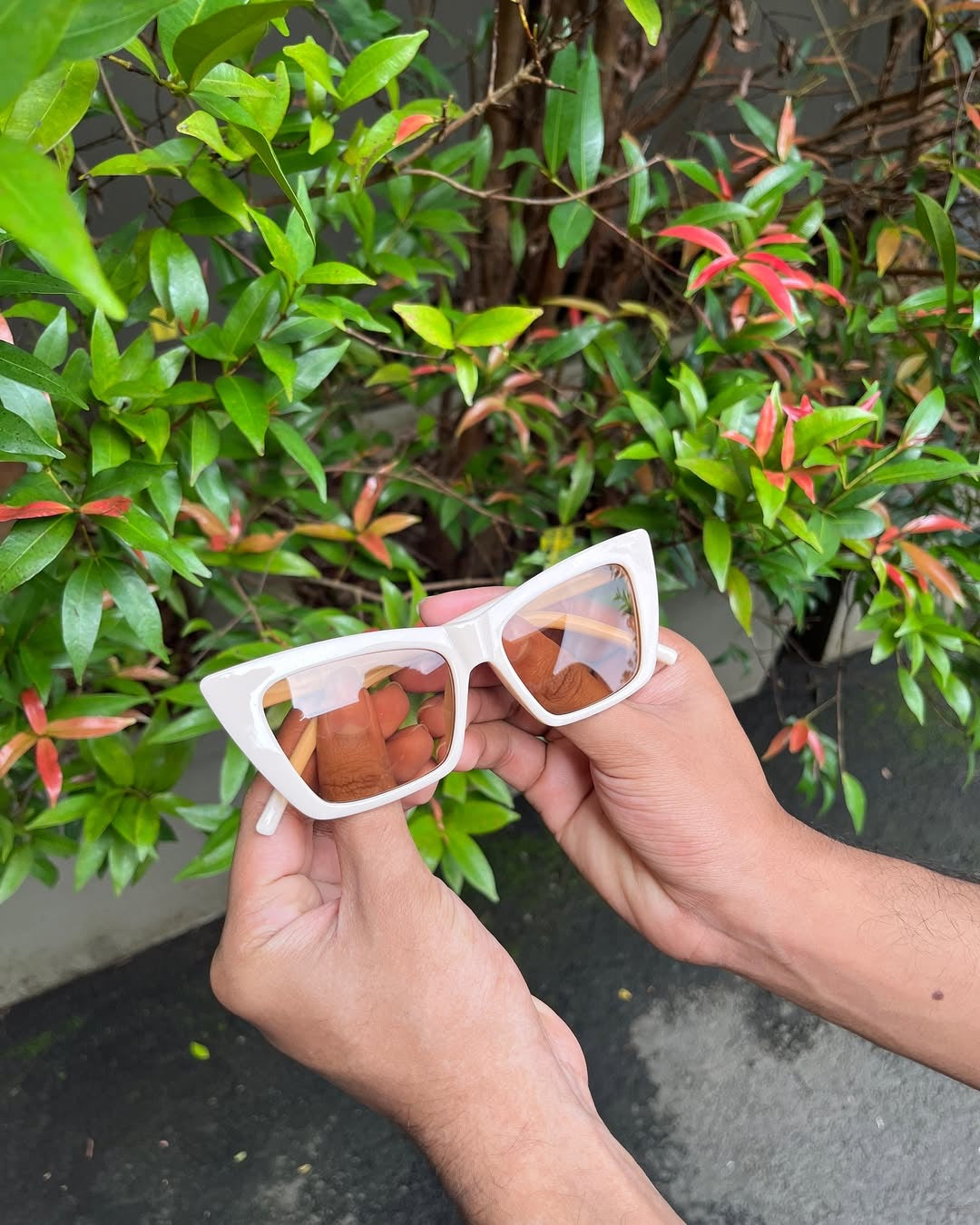 Ivory Sharp Cat Eye Frames