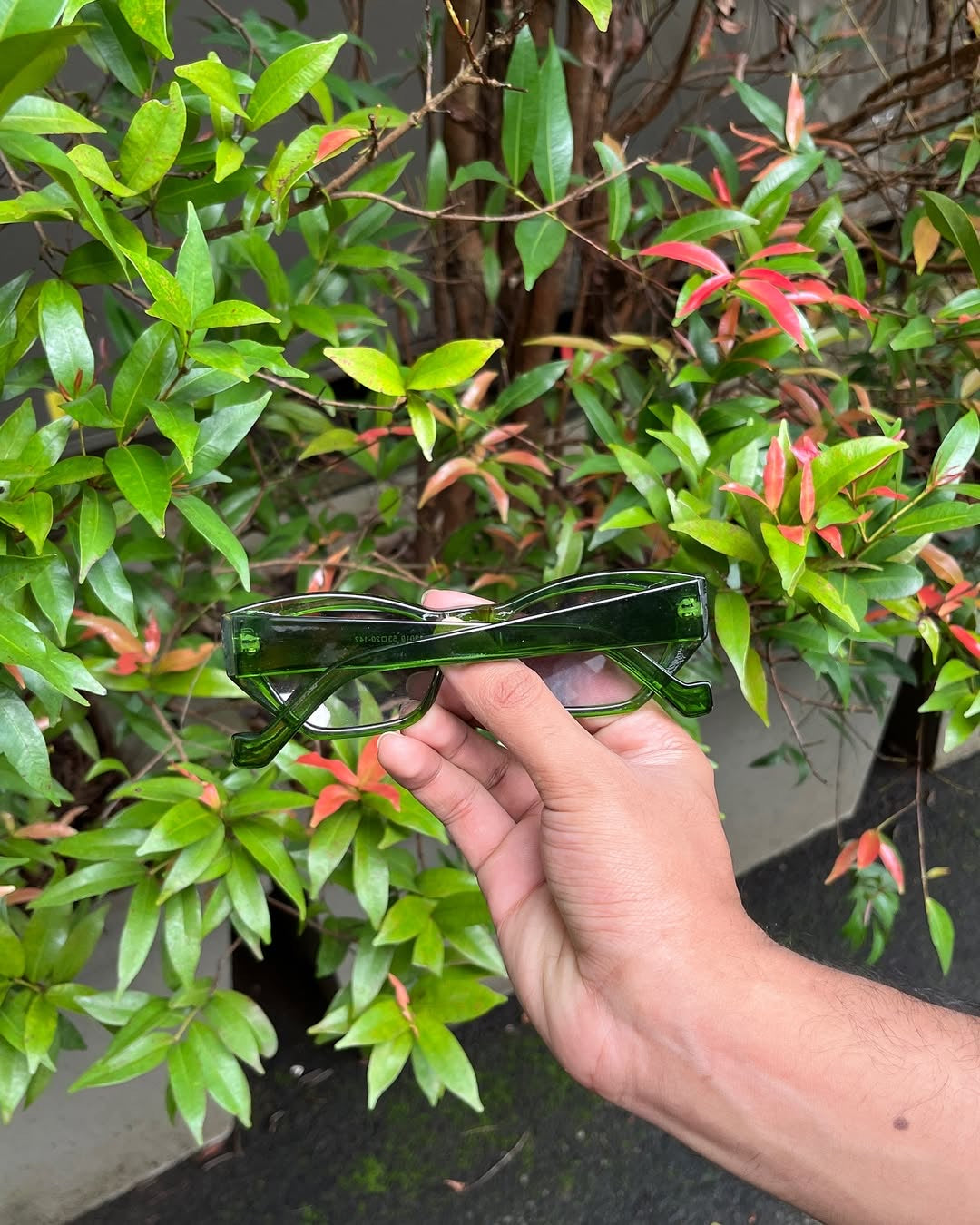 Olive Jelly Cat Eye Sunglasses