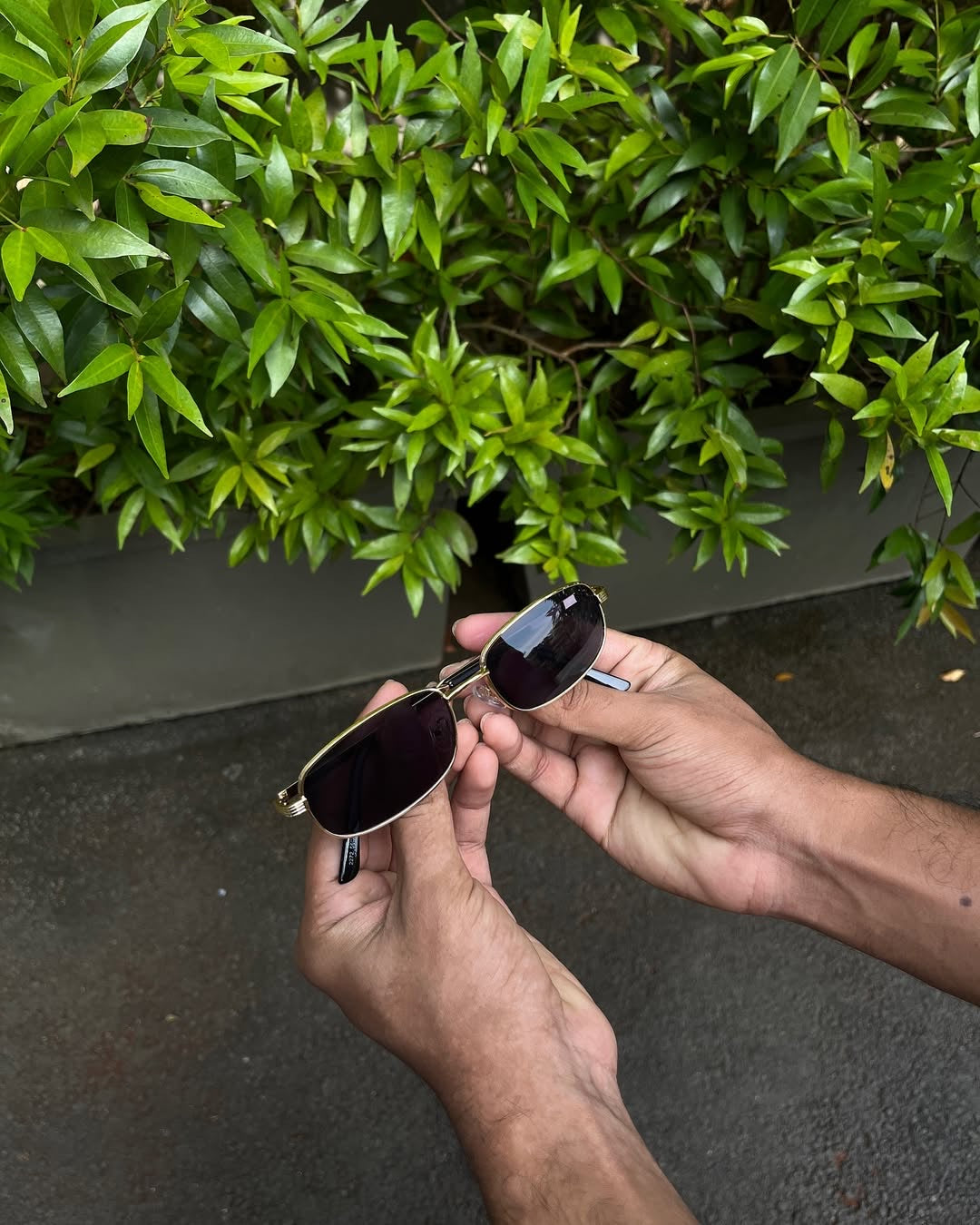 Verve Retro Slim Sunglasses