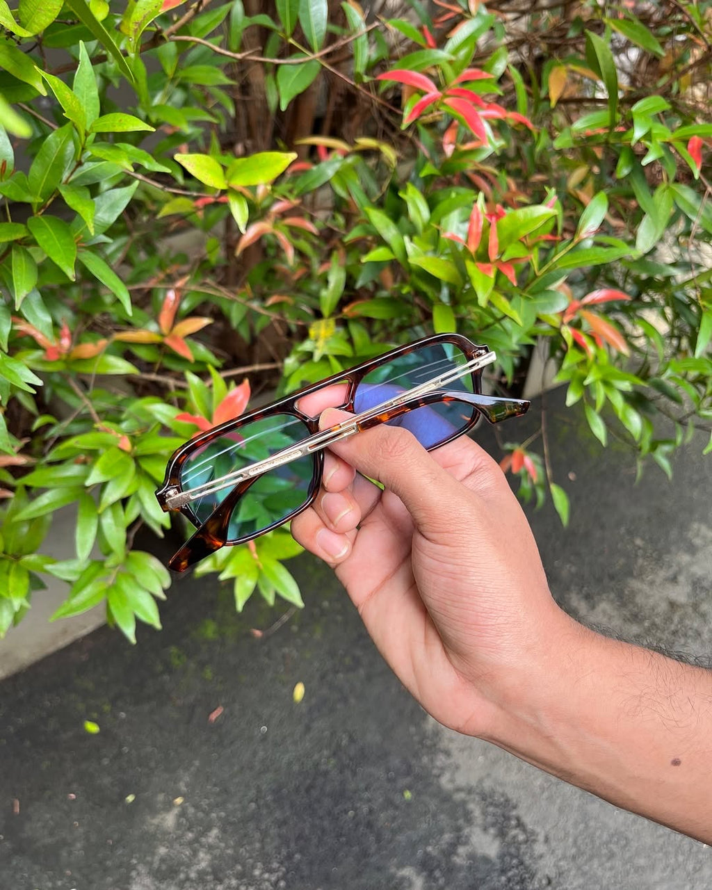 Tortoise Aviator Optical Frames