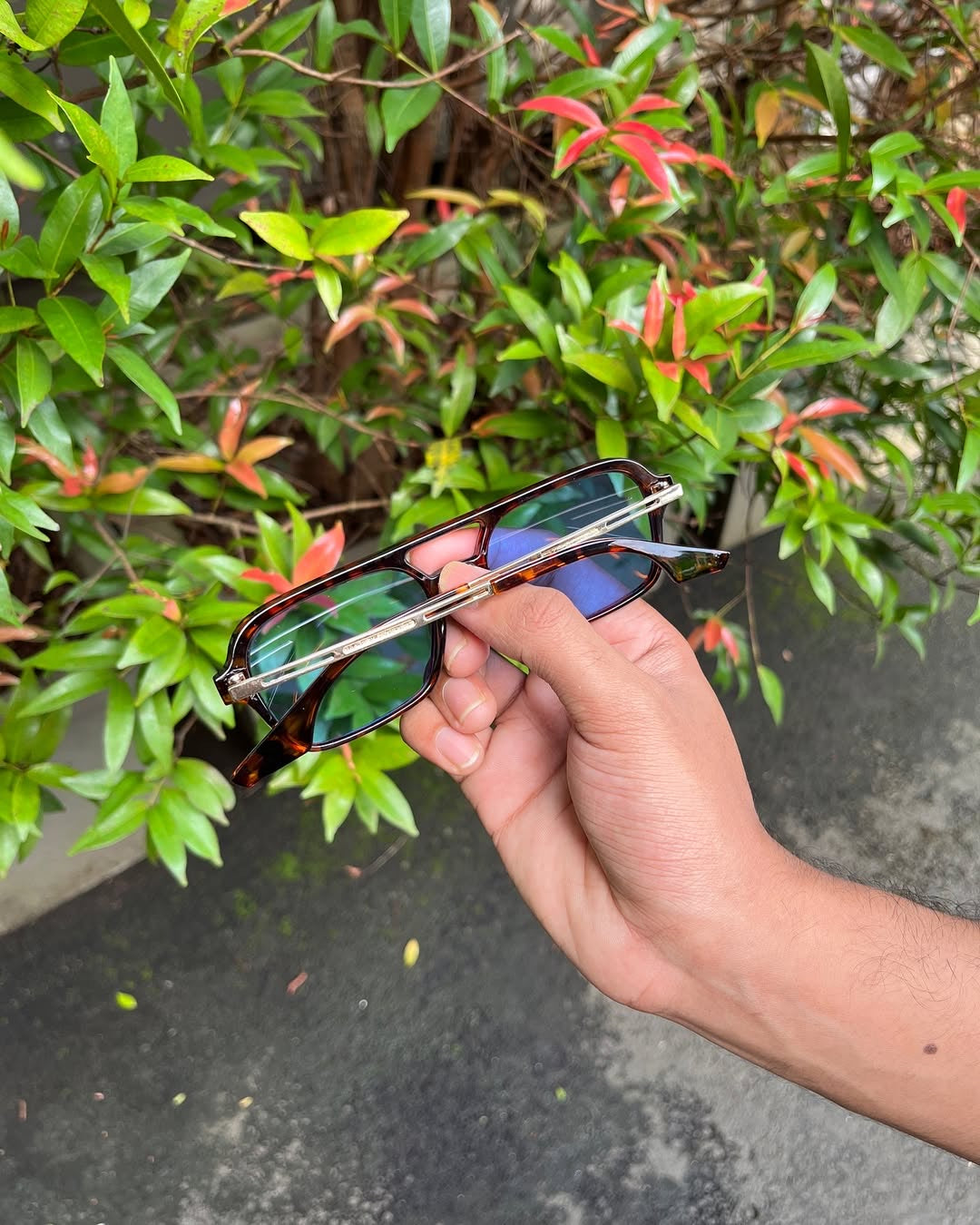 Tortoise Aviator Optical Frames