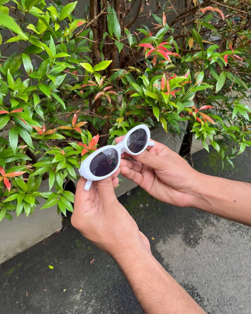 Star Accent Oval Sunglasses