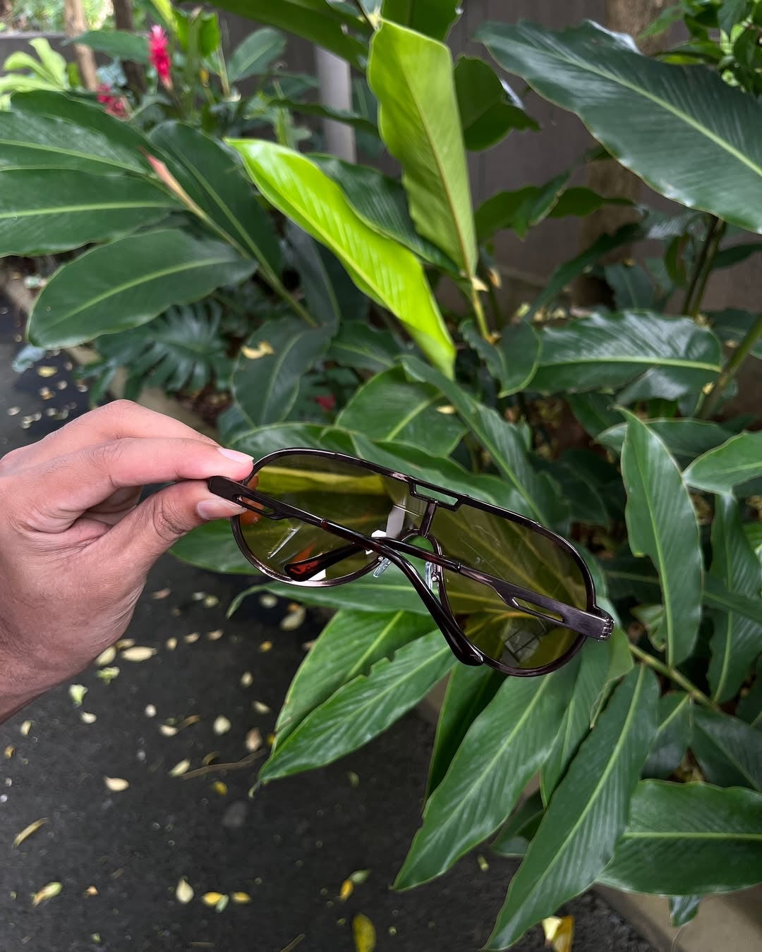 Racer Shield Sunglasses — Brown & Amber