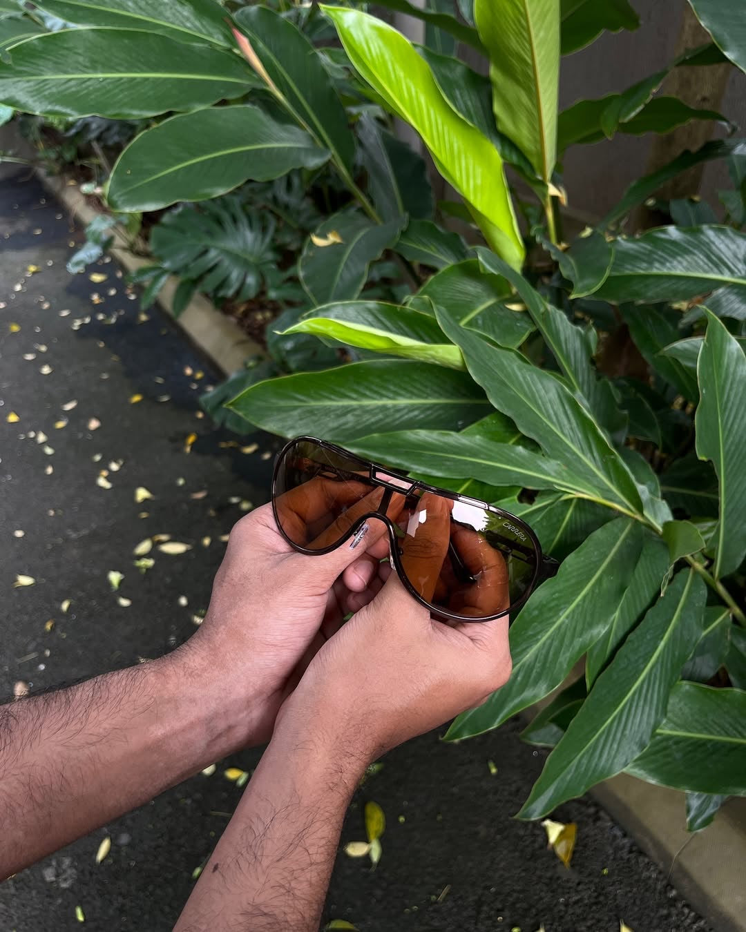 Racer Shield Sunglasses — Brown & Amber