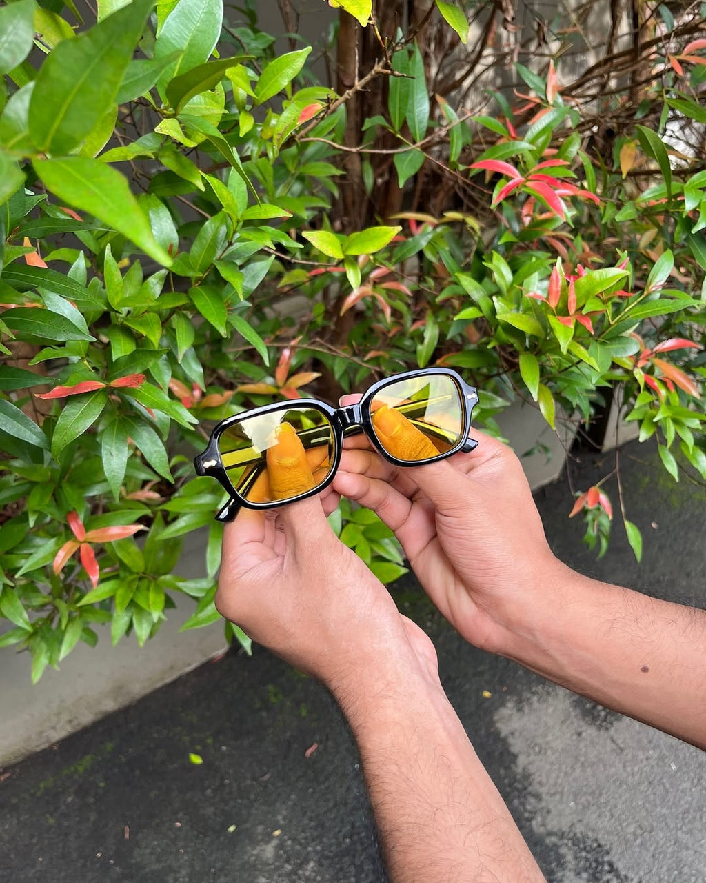 Amber Vision Blue-Light Frames
