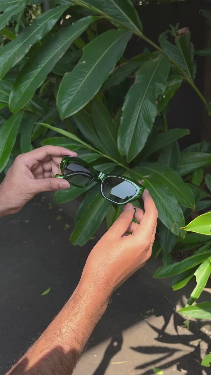 Olive Jelly Cat Eye Sunglasses